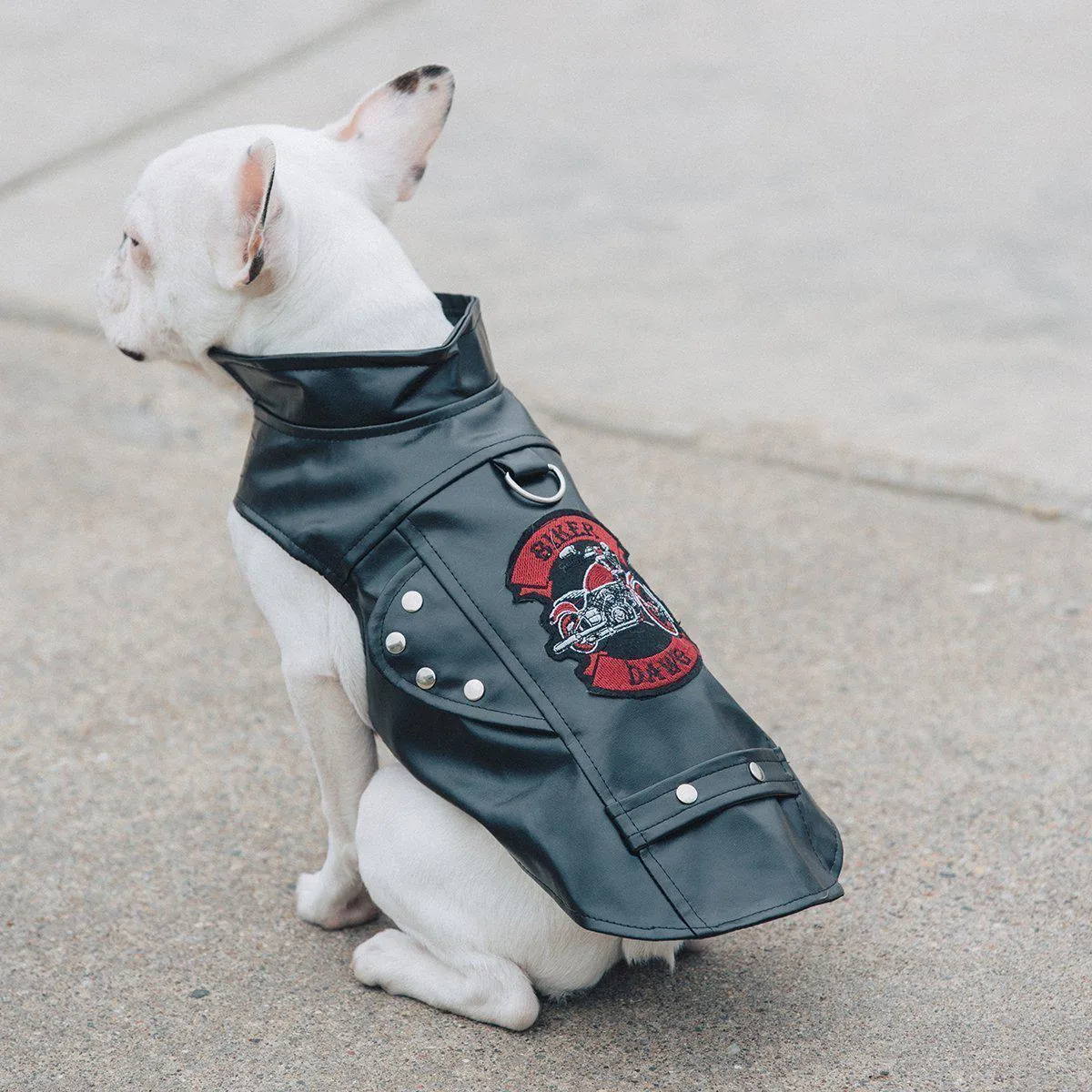 Biker Dawg Motorcycle Dog Coat Black