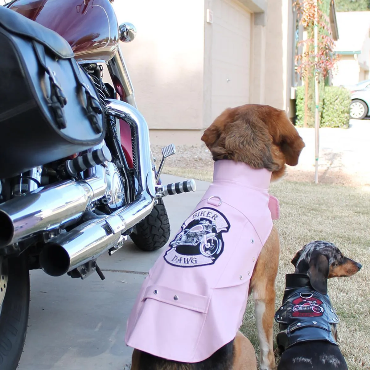 Biker Dawg Motorcycle Dog Coat Pink