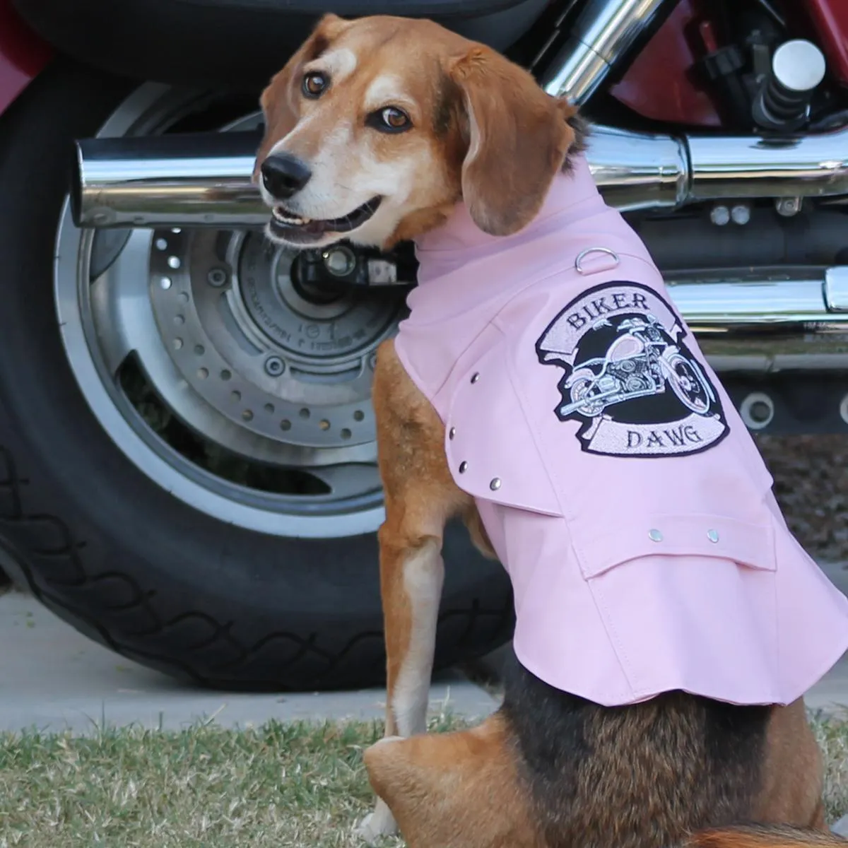 Biker Dawg Motorcycle Dog Coat Pink