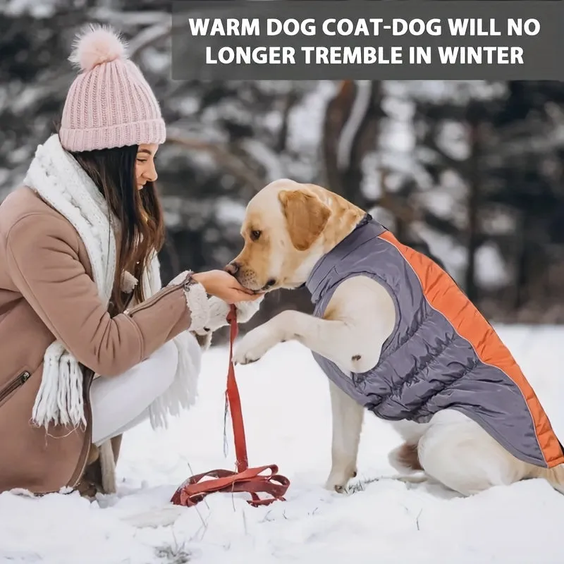 Cozy Winter Coat with Leash Ring for Stylish Pets