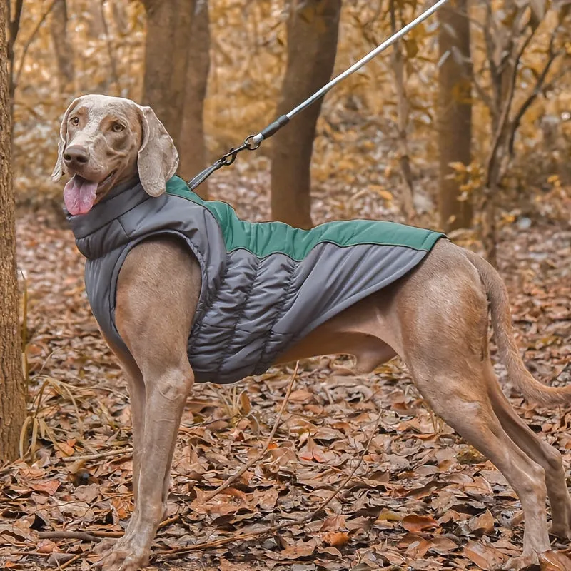 Cozy Winter Coat with Leash Ring for Stylish Pets